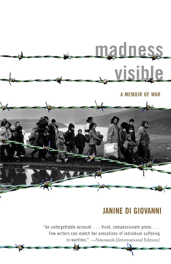 Madness Visible book cover